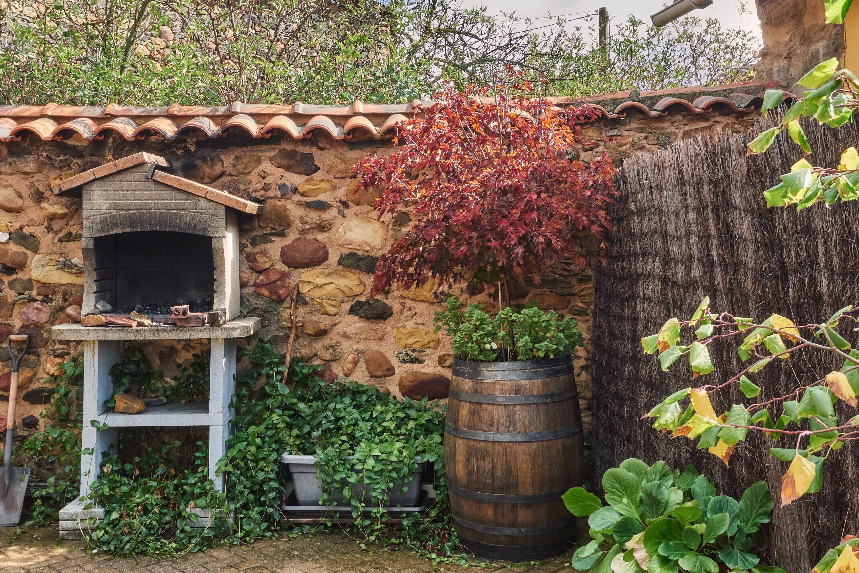 Terrein van de accommodatie