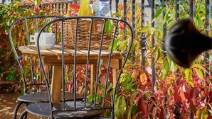 A metal chair with a wicker basket and a white mug on a table, surrounded by foliage. - Country Home 'Aguas Frias 2' with Mountain View, Private Terrace and Wi-Fi (La Omañuela)