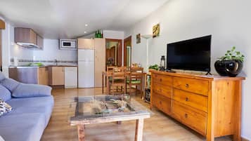 Télévision, cheminée, lecteur de DVD, chaßne hi-fi