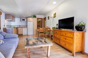 TV, fireplace, DVD player, stereo