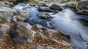 A river flowing through a rocky landscape with autumn leaves scattered around.