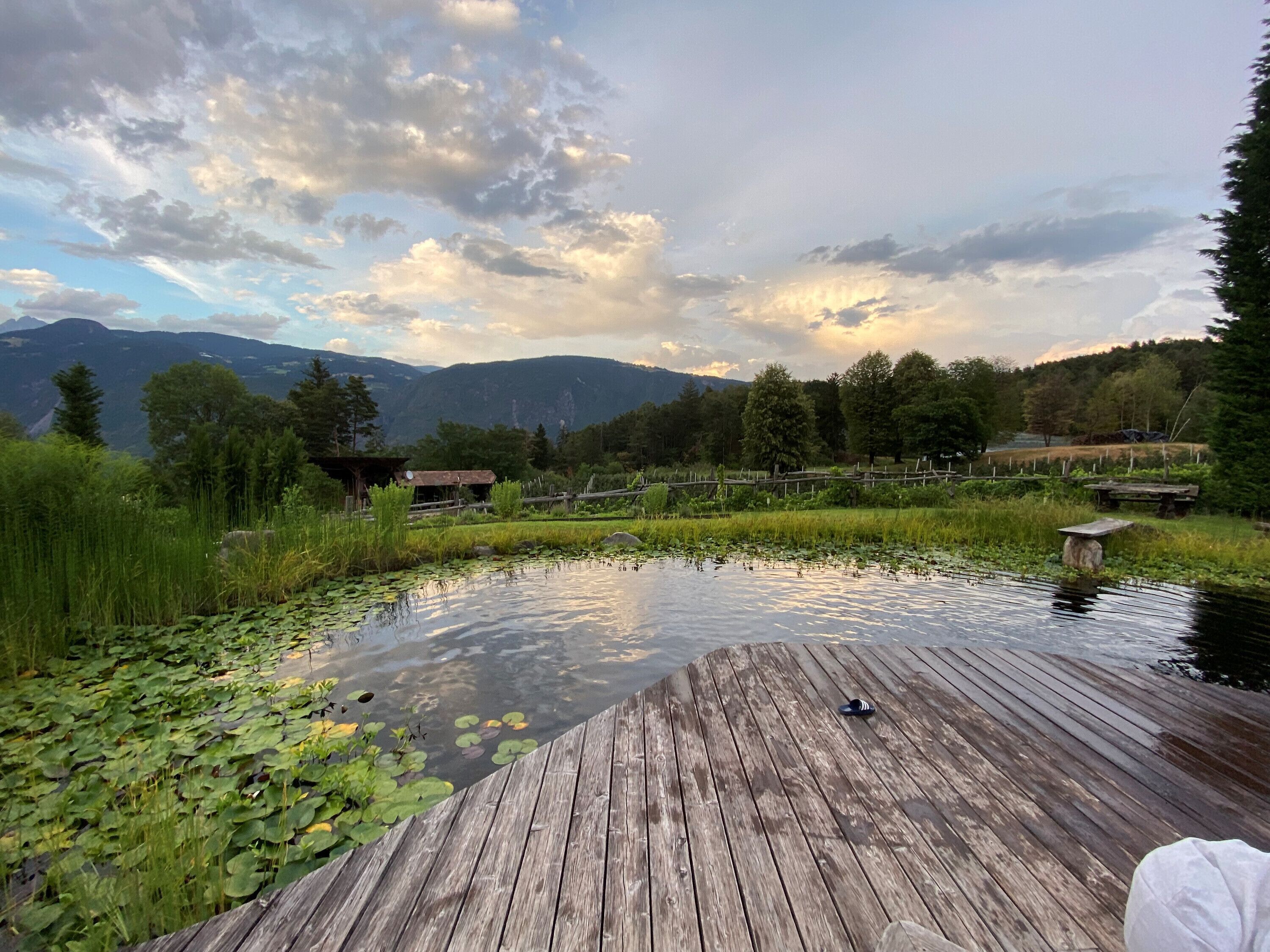 Parco della struttura