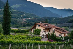 Exterior - Apartment 'Wald' with Mountain View, Shared Pool and Wi-Fi (Tesimo)