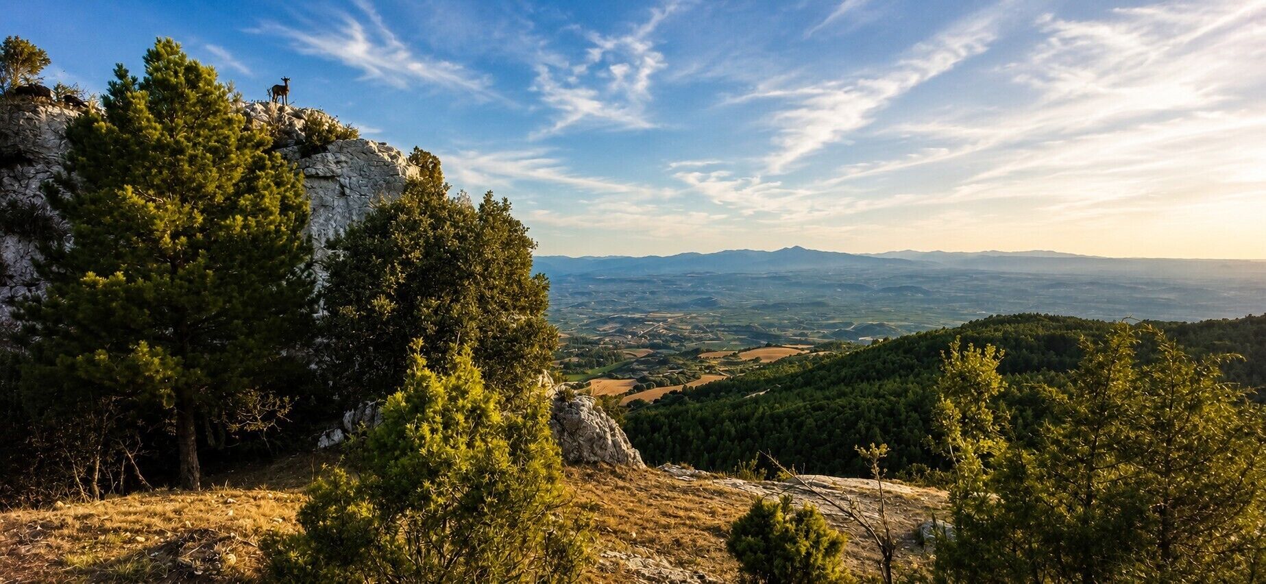 Paisatge montanyós amb boscos densos i terreny rocos.