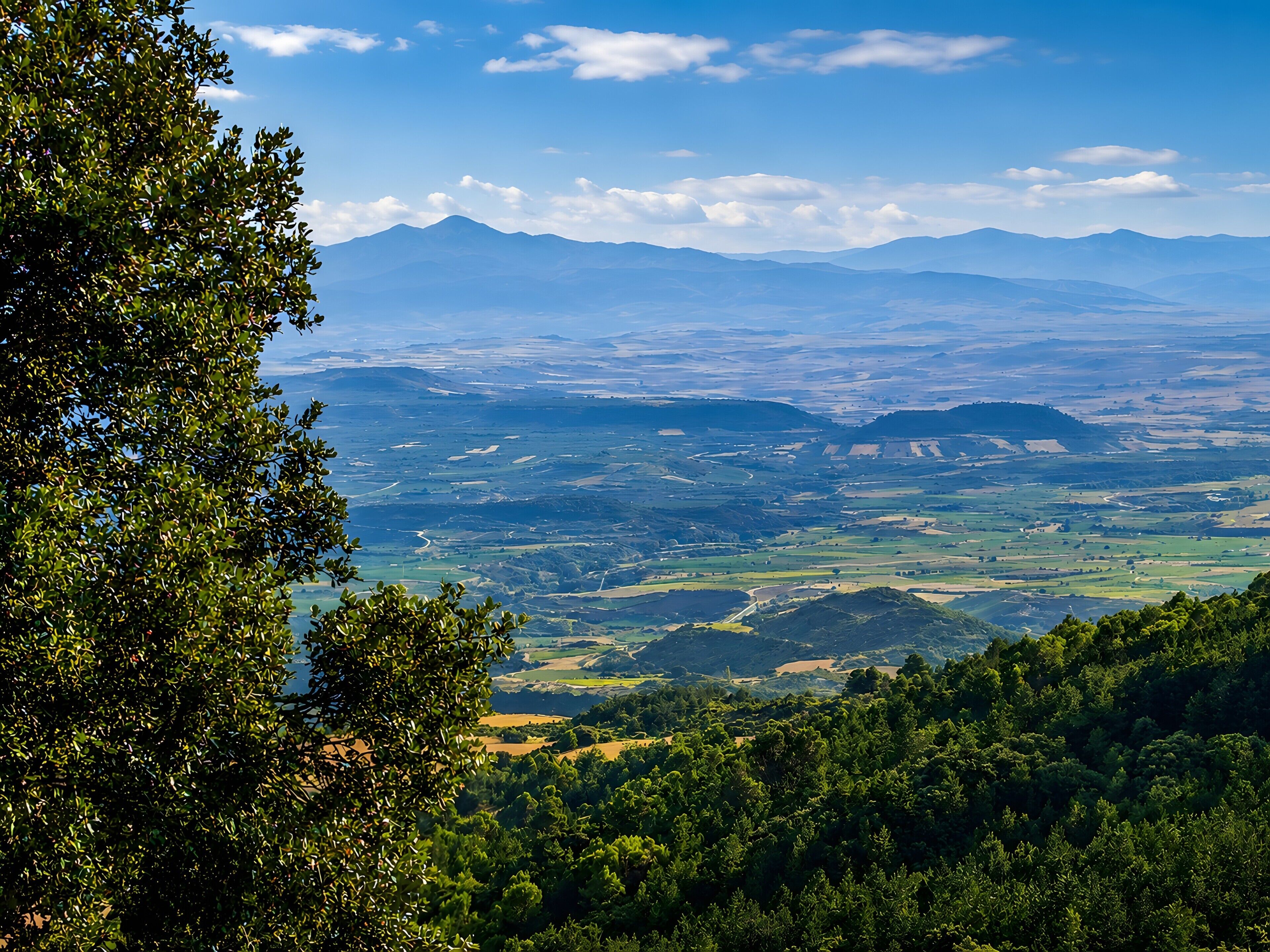 A panoramic view of a mountainous landscape with dense forested areas and distant hills.