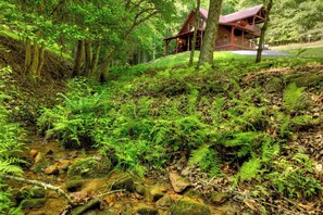 Property grounds - Mountain views and more! - Cherry Creek Retreat (Cherry Log)