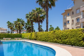 A swimming pool with a curved edge, surrounded by a low hedge and palm trees.
