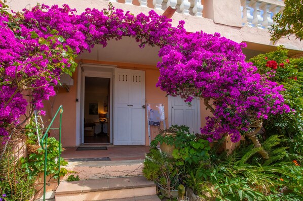 Detalle del exterior