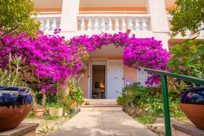 Uma entrada de prédio com um caminho que leva a uma porta, cercada por flores vibrantes de buganvília.