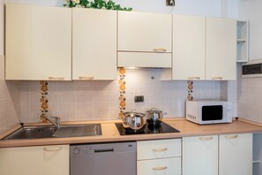 Fridge, microwave, stovetop, dishwasher