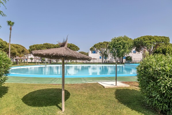 A swimming pool with a thatched umbrella, surrounded by greenery and buildings.