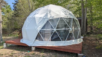 Studiosuite, Parkblick | Kostenloses WLAN