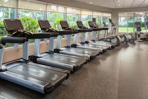 A row of treadmills in a gym with large windows and a view of greenery outside. - King Studio Near Atek Pest Control Inc MIA (Miami)