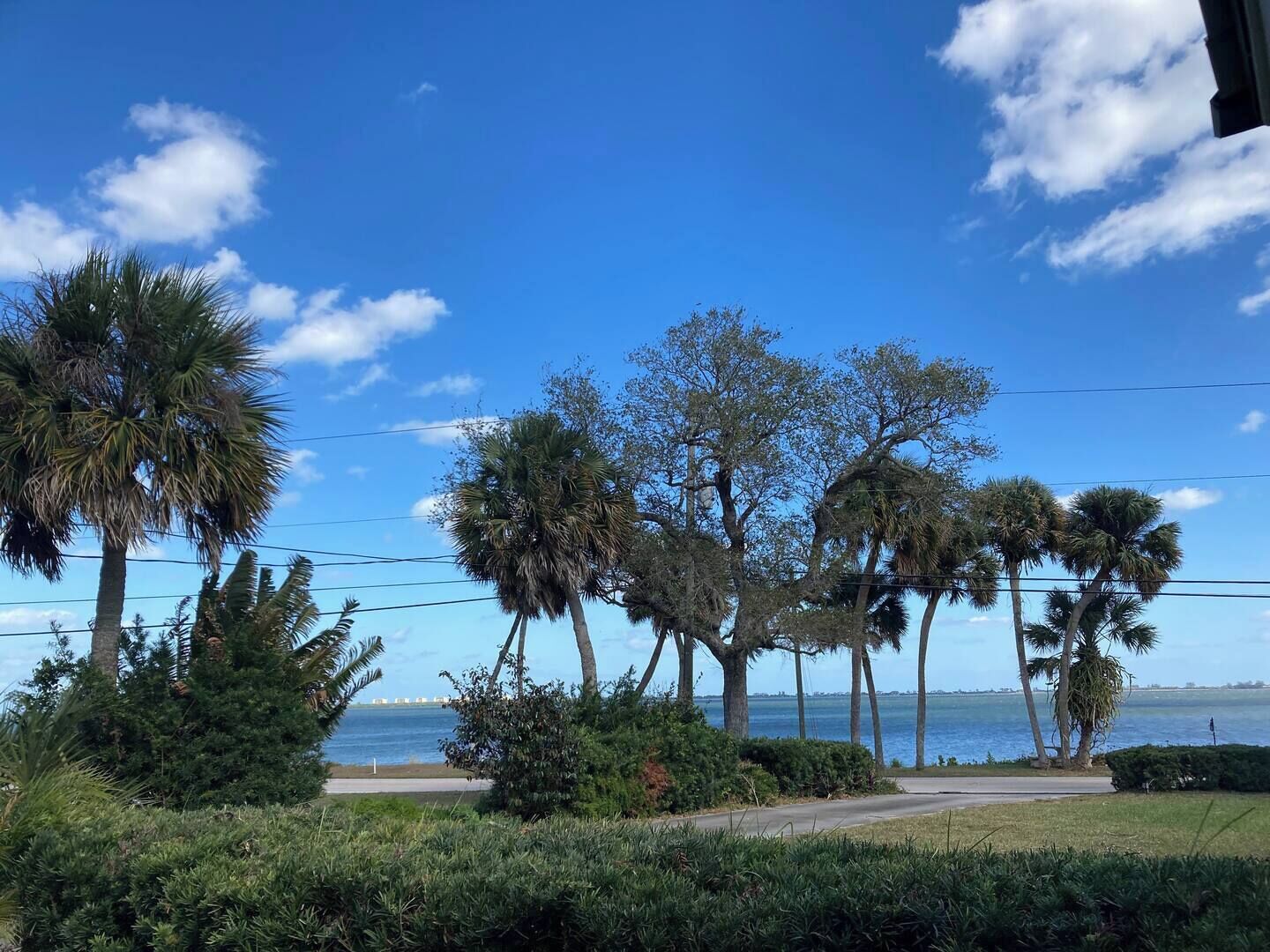 A coastal landscape with palm trees and a view of the sea.