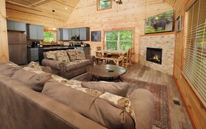 TV, fireplace, video games, DVD player