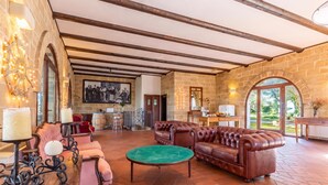 A spacious living area with a stone wall, a fireplace, a large leather sofa, and a dining area with a table and chairs. - Pagliara Il Morige 6 In The Countryside, Galatone, Italy (Galatone)