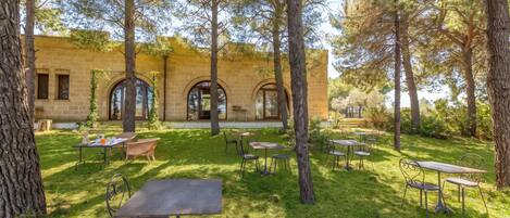 An outdoor patio with tables and chairs, surrounded by trees and a building with arched windows.