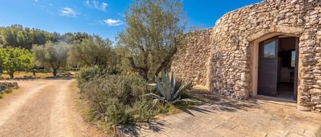 A stone building with a doorway, surrounded by a gravel path and various plants.