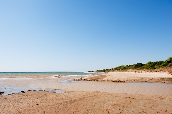 Beach - Trikalioti's Lush Estate Apt Afrodity, Palouki, Greece (Palouki)