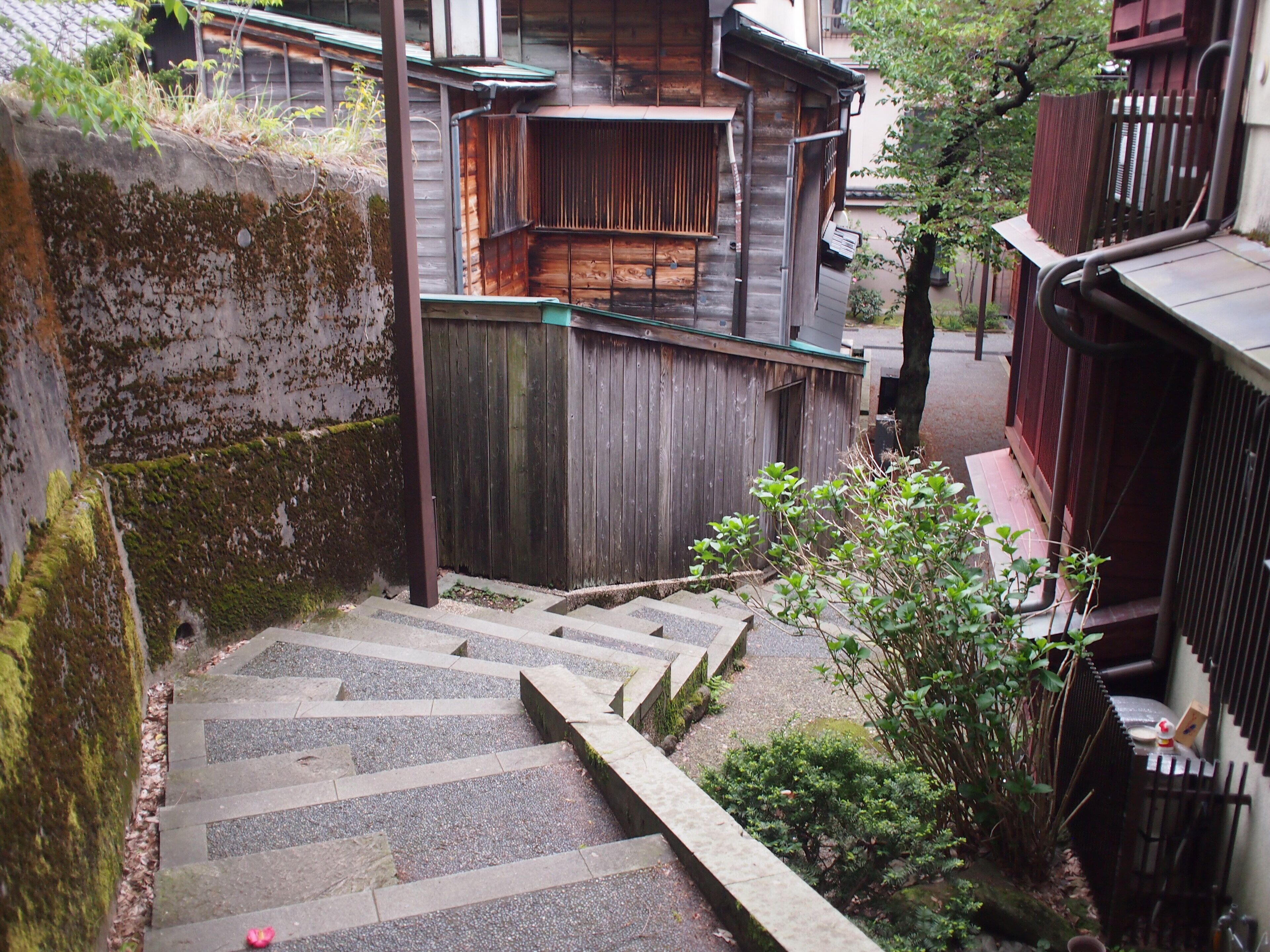 住宿城市景觀