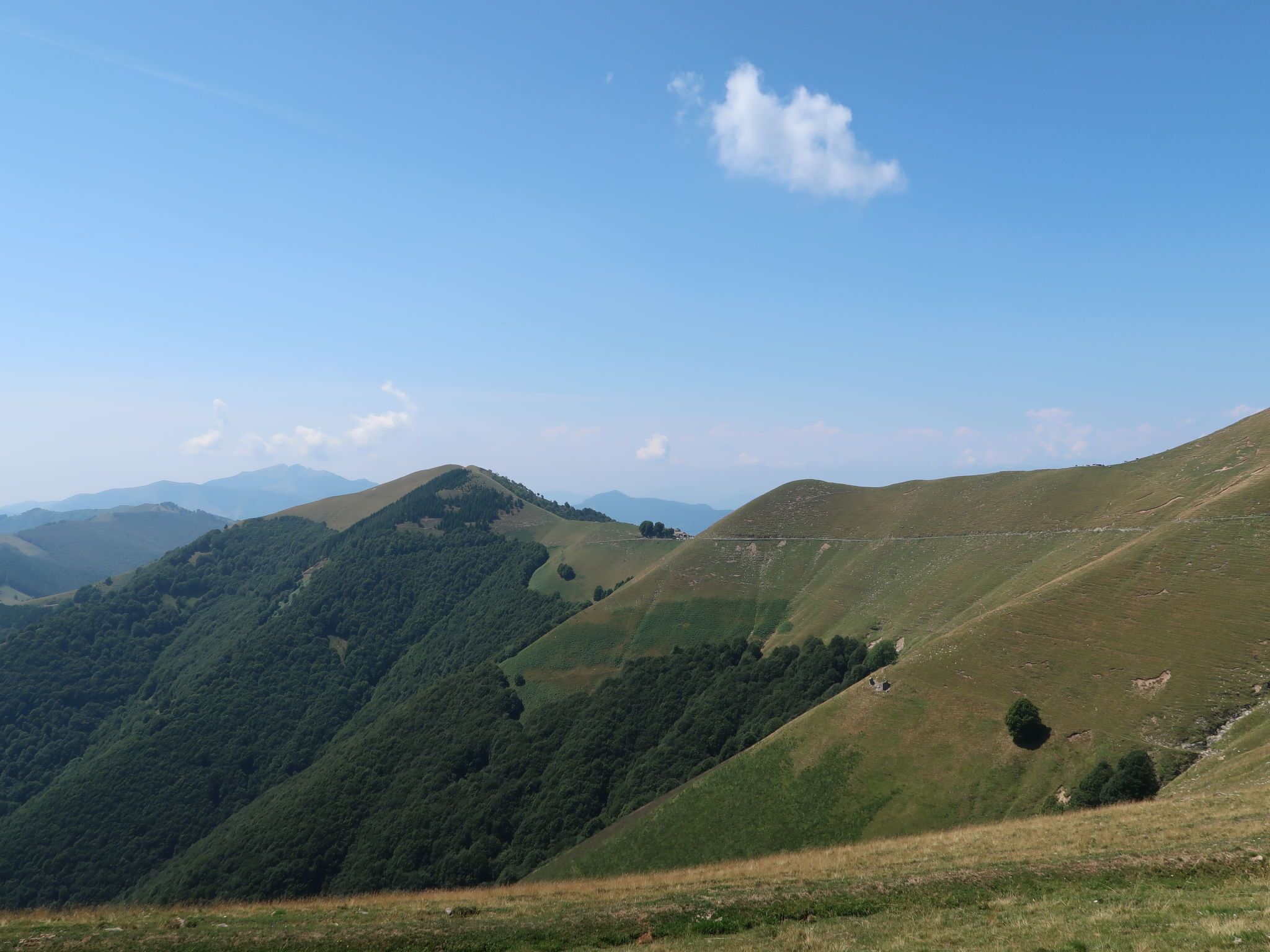 Une vue panoramique d’un paysage montagneux, avec des collines ondoyantes et des forêts denses.
