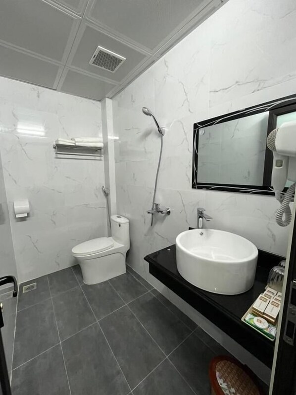 Ein Badezimmer mit Toilette, Waschbecken, Dusche und Spiegel.
