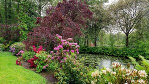 A garden with a pond, various flowering plants, and trees. - Studio Apartment 'Appartement Skagen' with Shared Garden and Wi-Fi (Glücksburg (Ostsee))