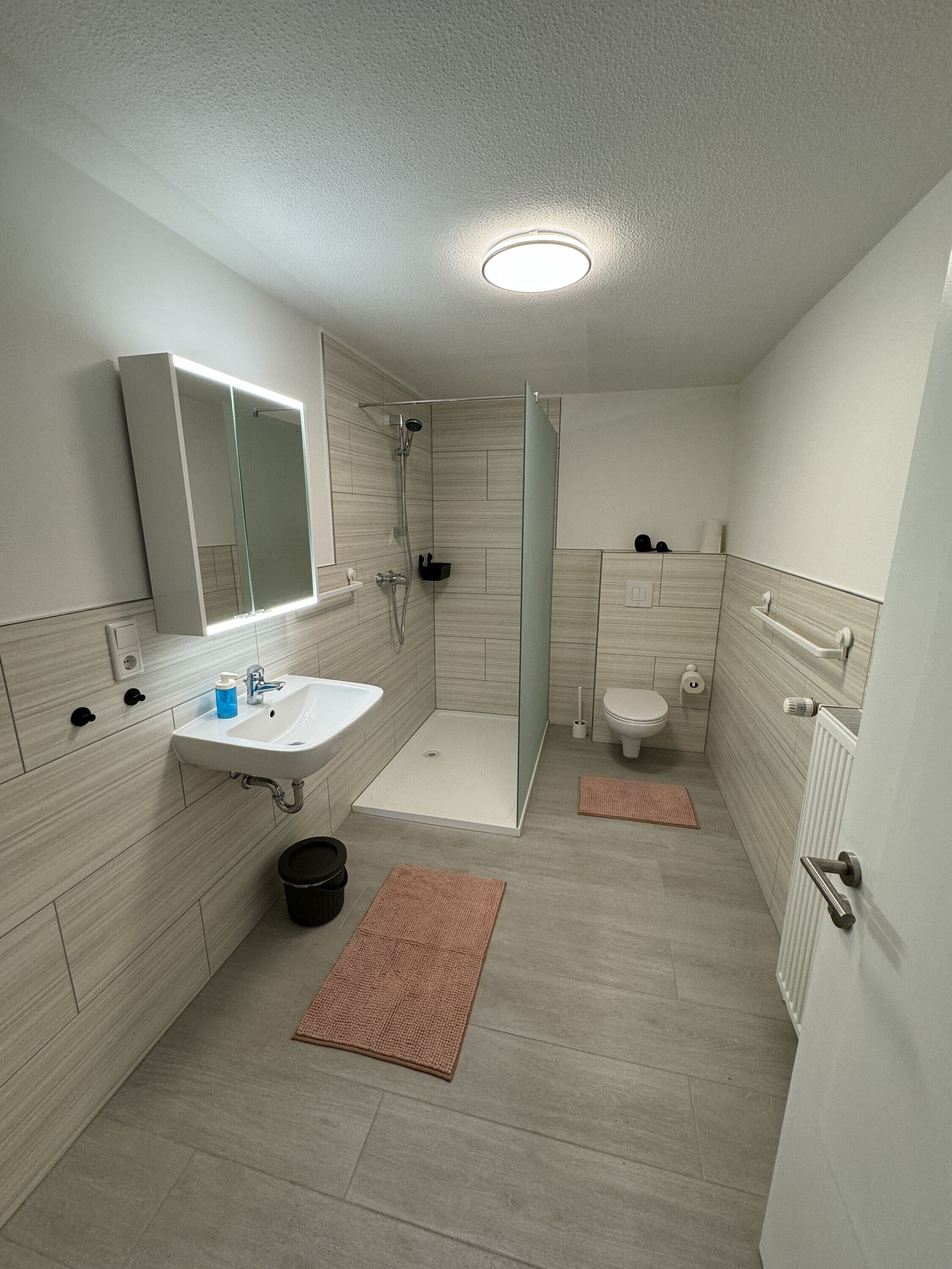 Chuveiro, secador de cabelo, toalhas de banho 