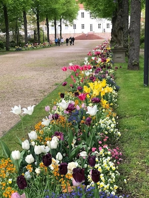 Overnatningsstedets område
