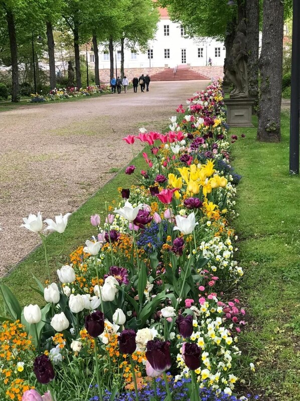 Overnattingsstedets uteområder
