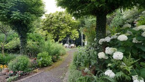 Ein Gartenpfad, umgeben von üppigem Grün und blühenden Pflanzen.