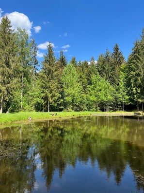 A calm lake surrounded by dense forest and a clear blue sky. - Apartment '2 Ferienwohnung Junghanß' with Wi-Fi (Blankenhain)