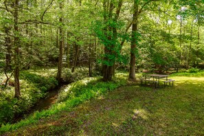 Outdoor dining - Water-view cabin near golf with fireplace, deck & firepit - snowbird-friendly (Blue Ridge)