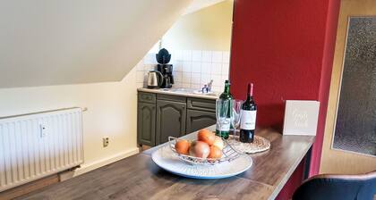 Confortable appartement pour 5 personnes avec WIFI, TV et animaux admis