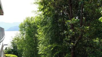 A paved pathway leading through a lush green garden with dense foliage and a view of a body of water in the distance.