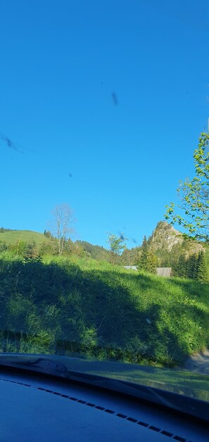 Utsikt fra overnattingsstedet