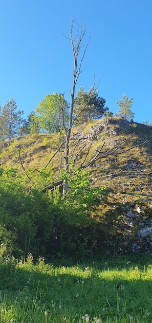 Àrea exterior de l'allotjament