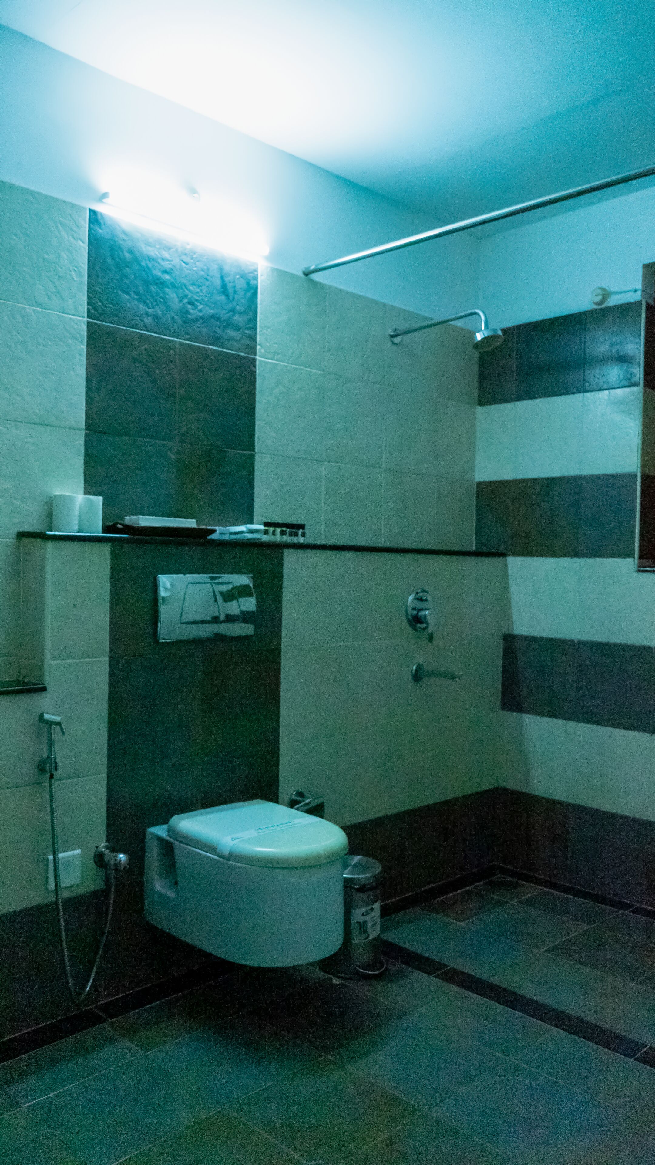 Ein kleines Badezimmer mit gedämpftem Licht, ausgestattet mit Toilette, Dusche und Waschbecken.