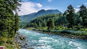 Un río que atraviesa una zona boscosa con una montaña al fondo.