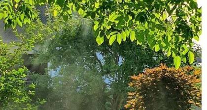 Am Park Komfortable Ferienresidenz