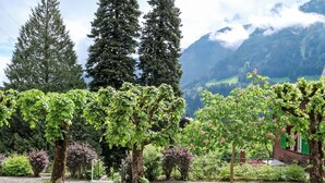 A vineyard with rows of grapevines, a gravel path, and a mountain backdrop. - Pavillons A by Interhome (Champery)