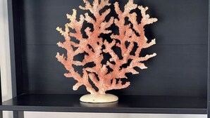 A shelf with a coral sculpture, a model sailboat, and a lighthouse model. - Aquamarine Retreat Penthouse Boca Chica (Boca Chica)