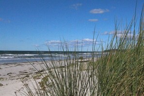 Beach - Gödeke Comfortable holiday residence (Middelhagen)