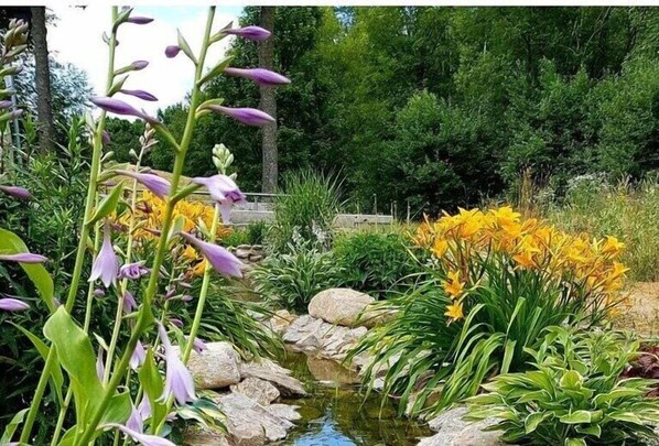 Terrein van de accommodatie