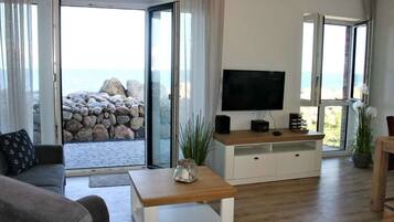 Smart TV, fireplace, DVD player, books