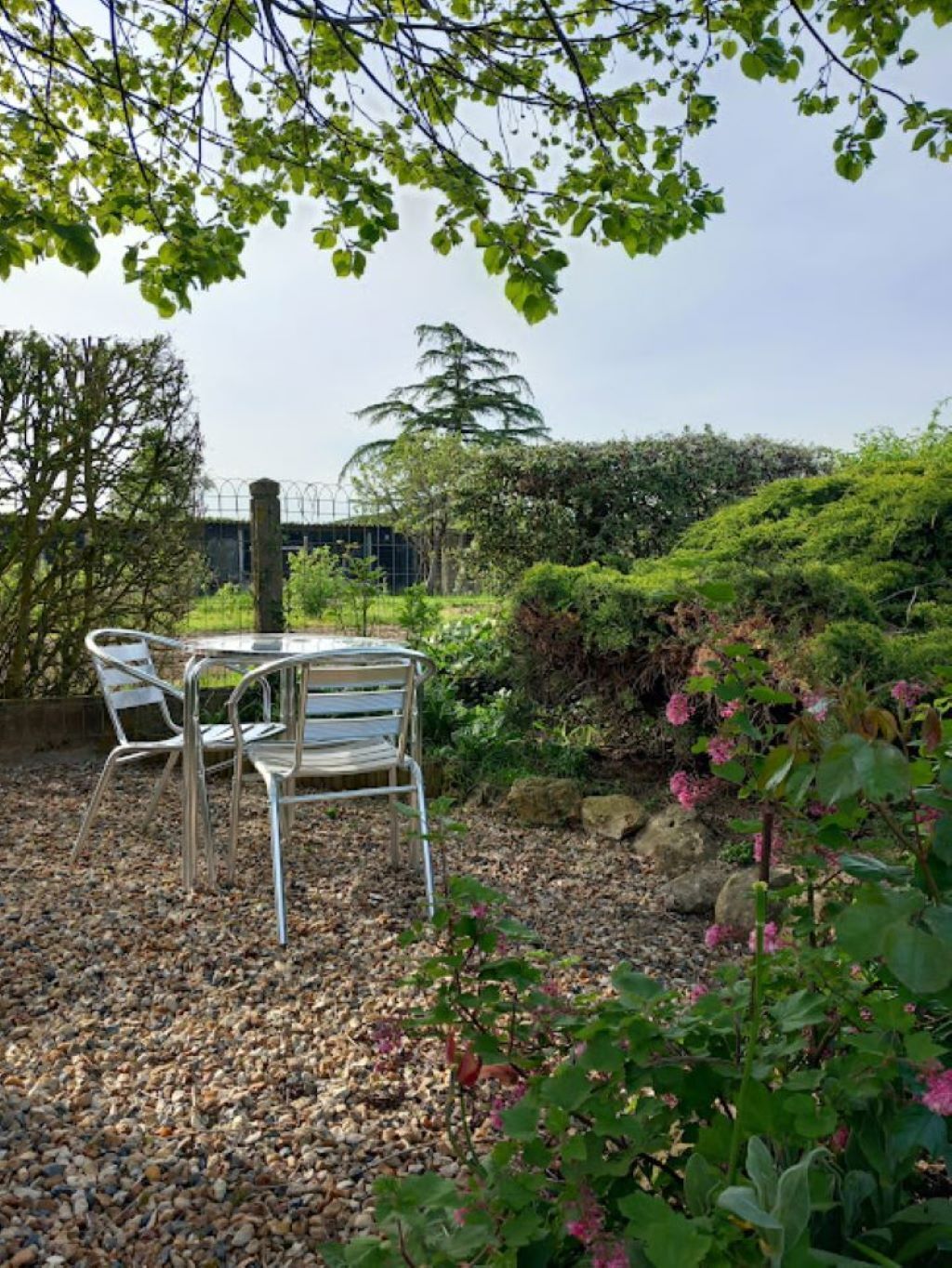Ein Garten mit Tisch und Stühlen, umgeben von Kies und Pflanzen.