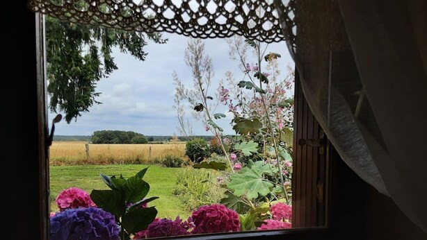 A window view of a garden with flowers and a field. - Discover the Châteaux of the Loire (La Ferriere)