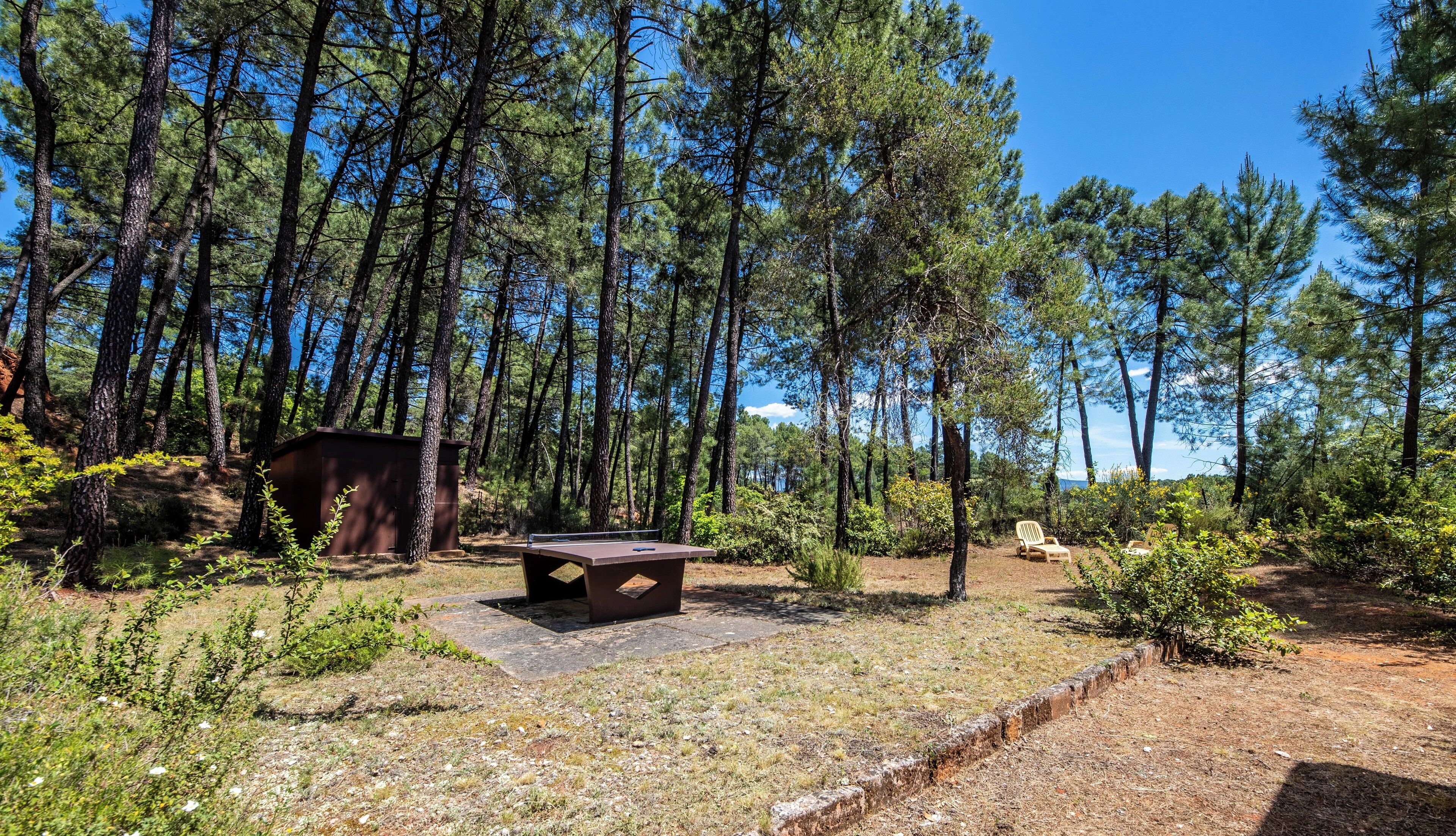 A forested area with a picnic table and benches, surrounded by tall pine trees and a clear sky.