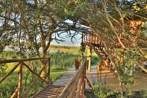 บริเวณภายนอก