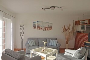 智能电视、壁炉、DVD 播放器、立体声音响